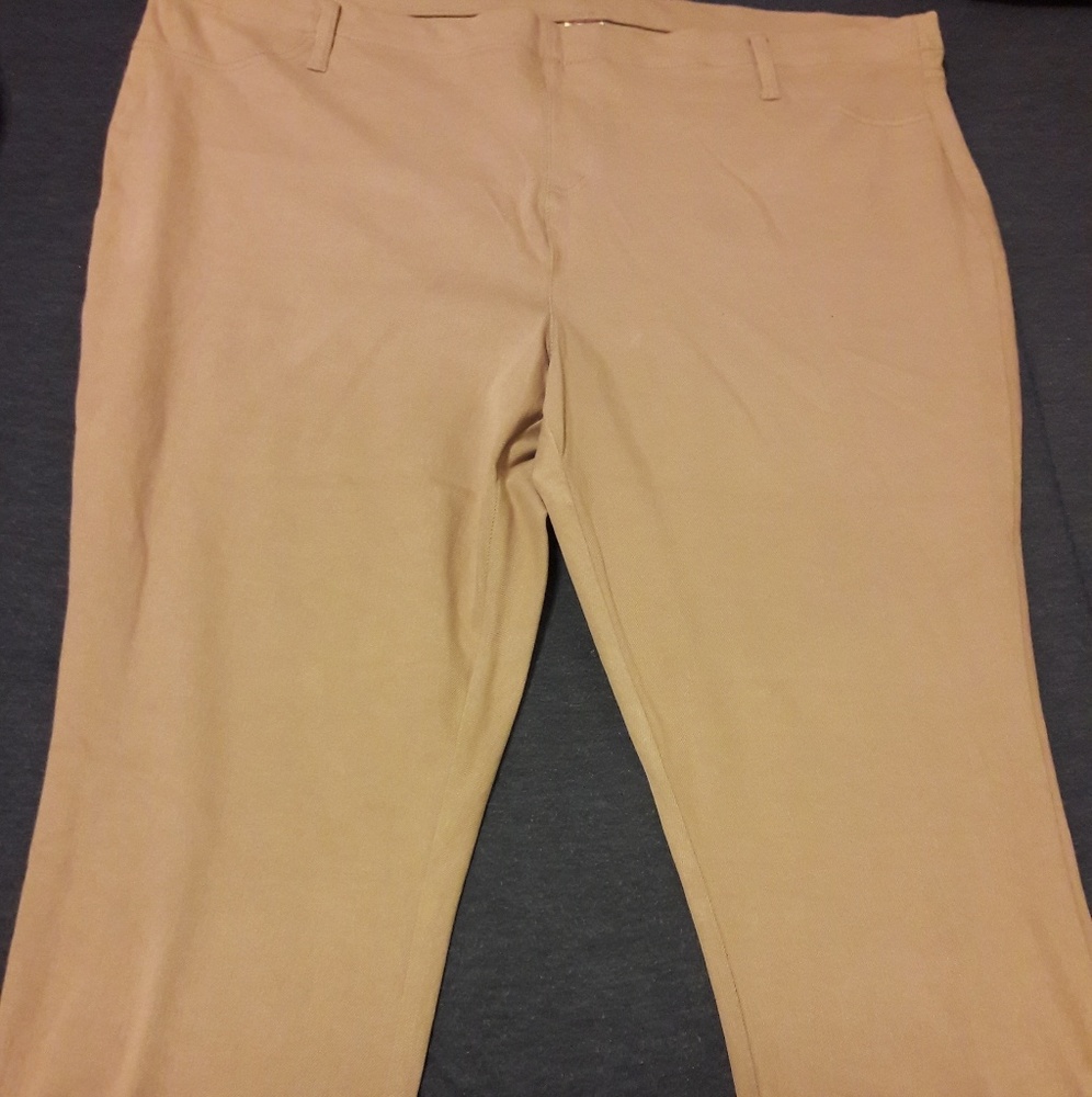 Plus Size Jeggins